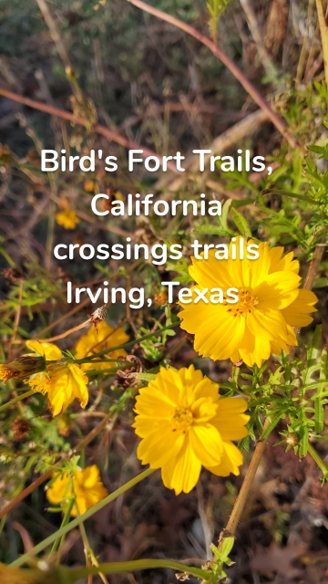Bird's Fort Trails, California crossings trails Irving, Texas