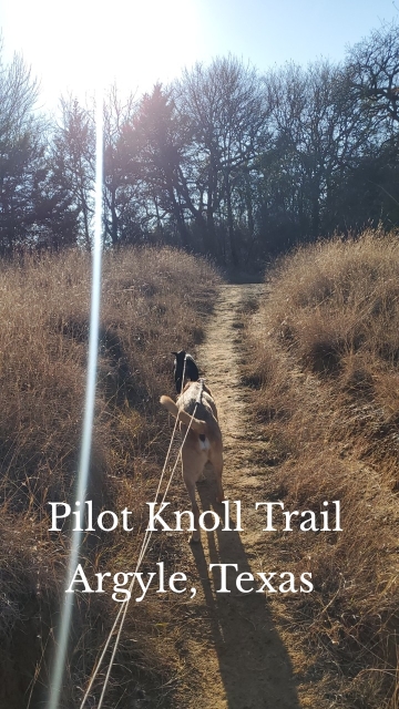 Pilot Knoll Trail Argyle, Texas
